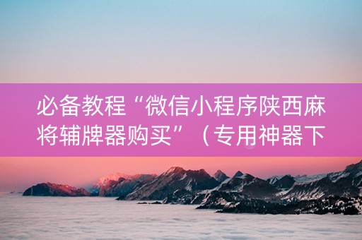 必备教程“微信小程序陕西麻将辅牌器购买”（专用神器下载)