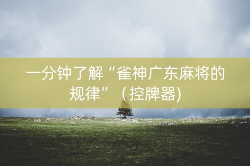 一分钟了解“雀神广东麻将的规律”（控牌器)