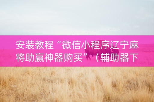 安装教程“微信小程序辽宁麻将助赢神器购买”（辅助器下载)
