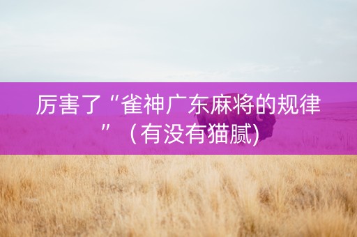 厉害了“雀神广东麻将的规律”（有没有猫腻)