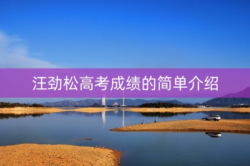 汪劲松高考成绩的简单介绍