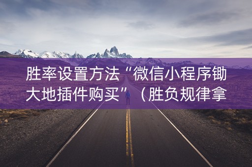 胜率设置方法“微信小程序锄大地插件购买”（胜负规律拿好牌)