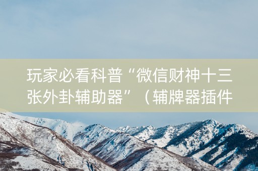 玩家必看科普“微信财神十三张外卦辅助器”（辅牌器插件购买)