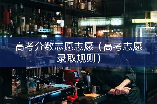 高考分数志愿志愿（高考志愿录取规则）