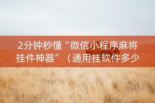 2分钟秒懂“微信小程序麻将挂件神器”（通用挂软件多少钱)