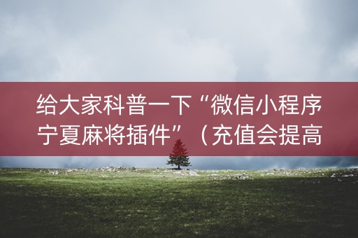 给大家科普一下“微信小程序宁夏麻将插件”（充值会提高胜率么)