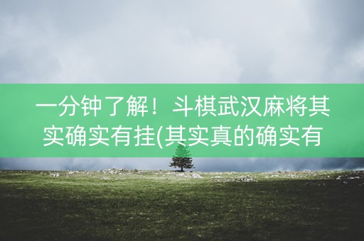 一分钟了解！斗棋武汉麻将其实确实有挂(其实真的确实有挂)
