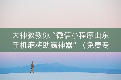 大神教教你“微信小程序山东手机麻将助赢神器”（免费专用神器)