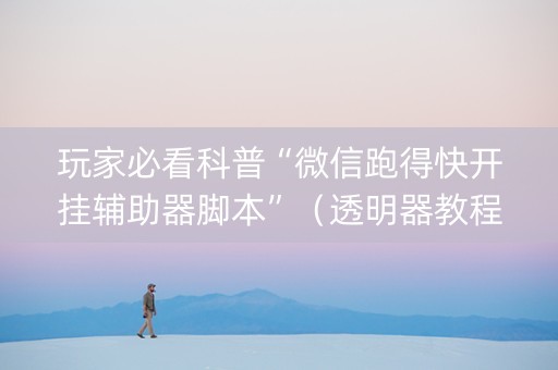 玩家必看科普“微信跑得快开挂辅助器脚本”（透明器教程)