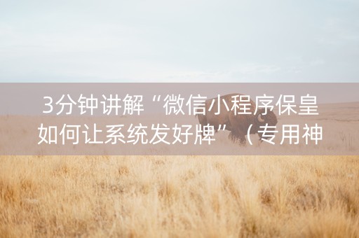 3分钟讲解“微信小程序保皇如何让系统发好牌”（专用神器下载)