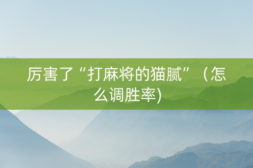 厉害了“打麻将的猫腻”（怎么调胜率)