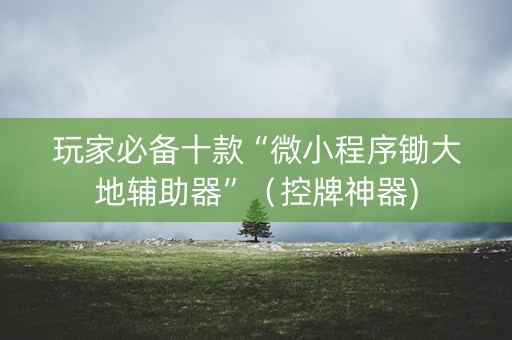 玩家必备十款“微小程序锄大地辅助器”（控牌神器)