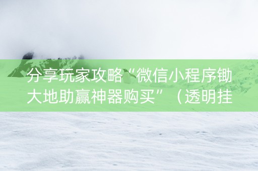 分享玩家攻略“微信小程序锄大地助赢神器购买”（透明挂辅助器)