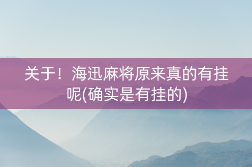 关于！海迅麻将原来真的有挂呢(确实是有挂的)