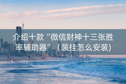 介绍十款“微信财神十三张胜率辅助器”（装挂怎么安装)