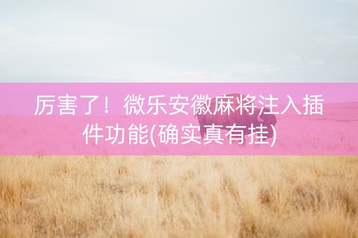 厉害了！微乐安徽麻将注入插件功能(确实真有挂)