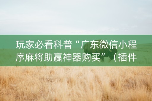 玩家必看科普“广东微信小程序麻将助赢神器购买”（插件可信吗)