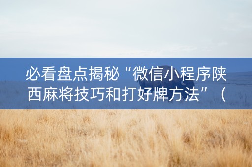 必看盘点揭秘“微信小程序陕西麻将技巧和打好牌方法”（插件开挂免费AI)