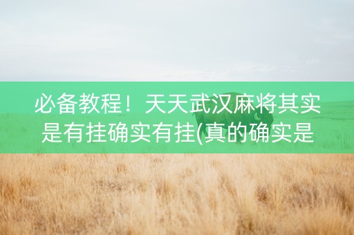 必备教程！天天武汉麻将其实是有挂确实有挂(真的确实是有挂)