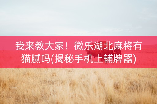 我来教大家！微乐湖北麻将有猫腻吗(揭秘手机上辅牌器)