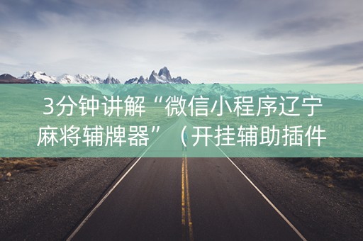 3分钟讲解“微信小程序辽宁麻将辅牌器”（开挂辅助插件)
