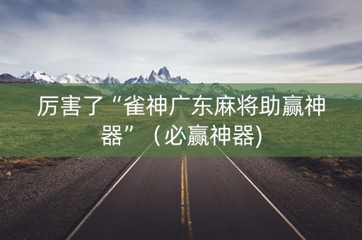 厉害了“雀神广东麻将助赢神器”（必赢神器)