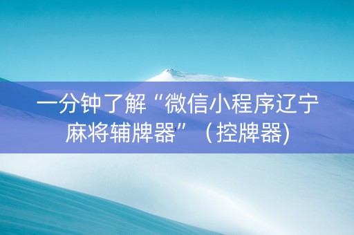 一分钟了解“微信小程序辽宁麻将辅牌器”（控牌器)