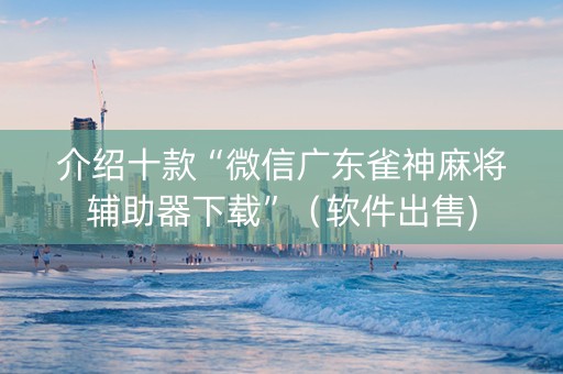 介绍十款“微信广东雀神麻将辅助器下载”（软件出售)