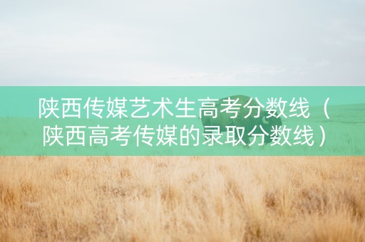 陕西传媒艺术生高考分数线（陕西高考传媒的录取分数线）