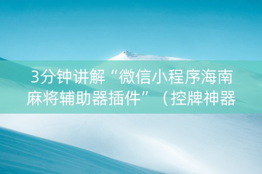 3分钟讲解“微信小程序海南麻将辅助器插件”（控牌神器)