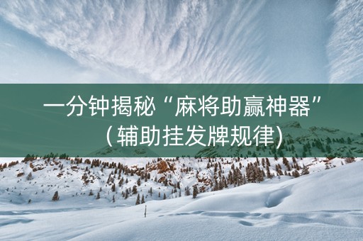 一分钟揭秘“麻将助赢神器”（辅助挂发牌规律)