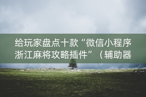 给玩家盘点十款“微信小程序浙江麻将攻略插件”（辅助器下载)