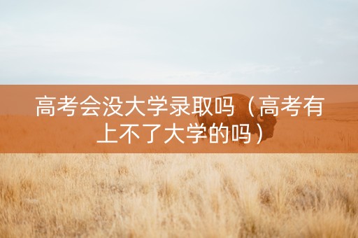 高考会没大学录取吗（高考有上不了大学的吗）