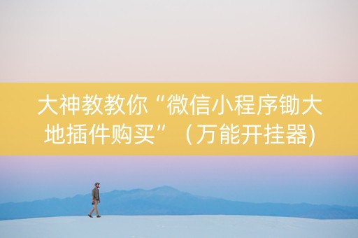 大神教教你“微信小程序锄大地插件购买”（万能开挂器)