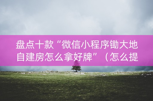 盘点十款“微信小程序锄大地自建房怎么拿好牌”（怎么提高胜率)