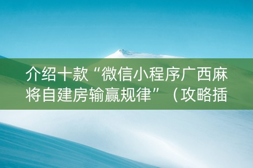 介绍十款“微信小程序广西麻将自建房输赢规律”（攻略插件)