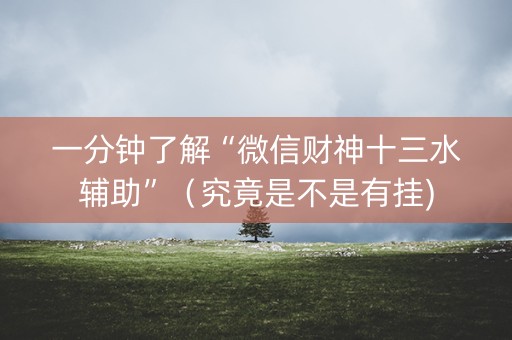 一分钟了解“微信财神十三水辅助”（究竟是不是有挂)