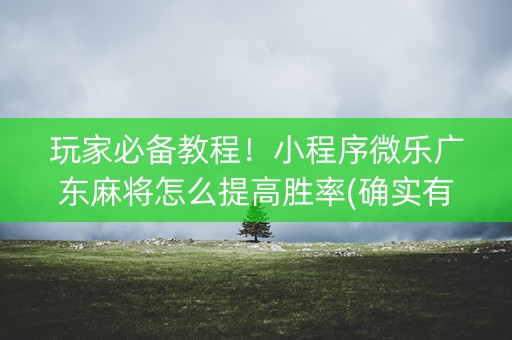 玩家必备教程！小程序微乐广东麻将怎么提高胜率(确实有挂吗)