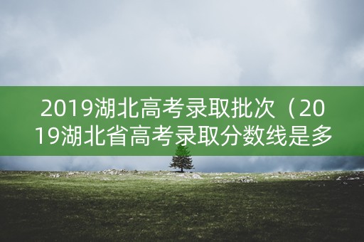 2019湖北高考录取批次（2019湖北省高考录取分数线是多少）