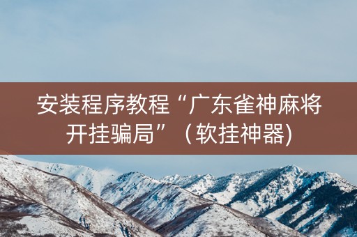 安装程序教程“广东雀神麻将开挂骗局”（软挂神器)