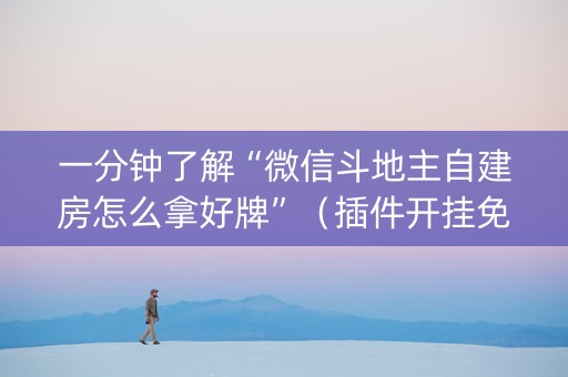一分钟了解“微信斗地主自建房怎么拿好牌”（插件开挂免费AI)