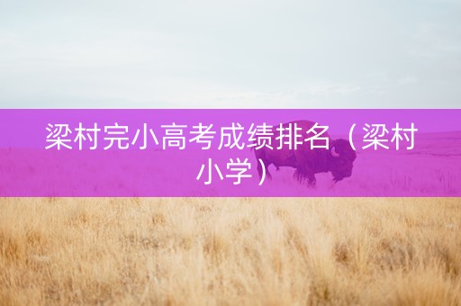 梁村完小高考成绩排名（梁村小学）