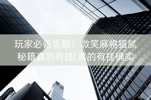 玩家必备攻略！微笑麻将猫腻秘籍真的有挂(真的有挂确实有挂)
