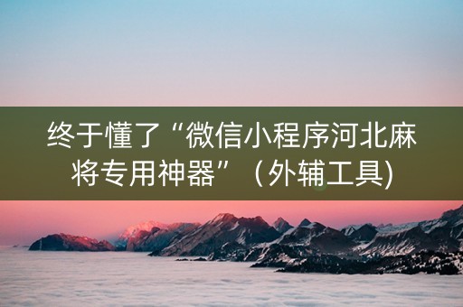 终于懂了“微信小程序河北麻将专用神器”（外辅工具)