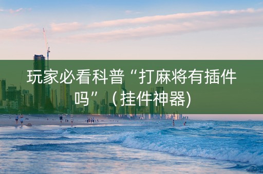 玩家必看科普“打麻将有插件吗”（挂件神器)