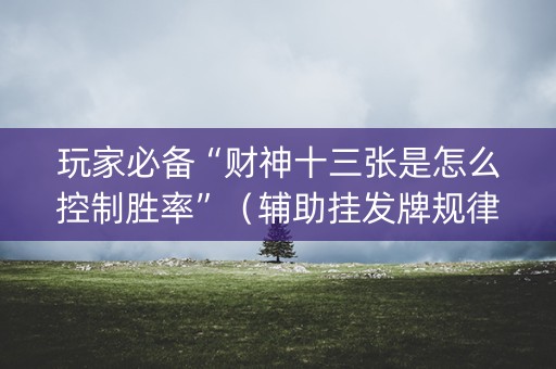 玩家必备“财神十三张是怎么控制胜率”（辅助挂发牌规律)