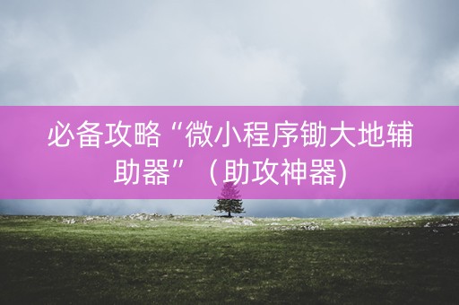 必备攻略“微小程序锄大地辅助器”（助攻神器)