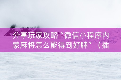 分享玩家攻略“微信小程序内蒙麻将怎么能得到好牌”（插件可信吗)