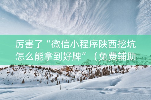 厉害了“微信小程序陕西挖坑怎么能拿到好牌”（免费辅助)