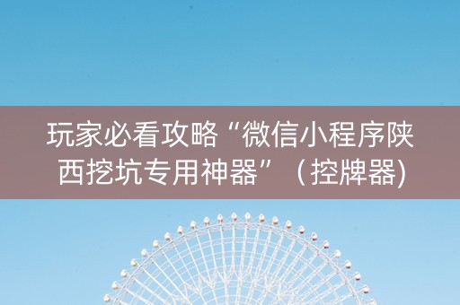 玩家必看攻略“微信小程序陕西挖坑专用神器”（控牌器)